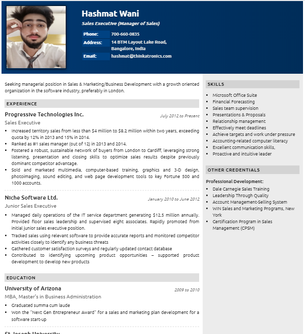 Resume Template - 'Elemental' | Create your CV