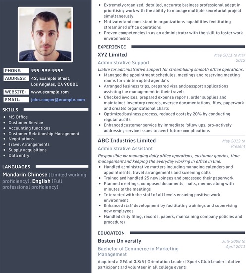 Resume Template - 'Regal' | Create your CV